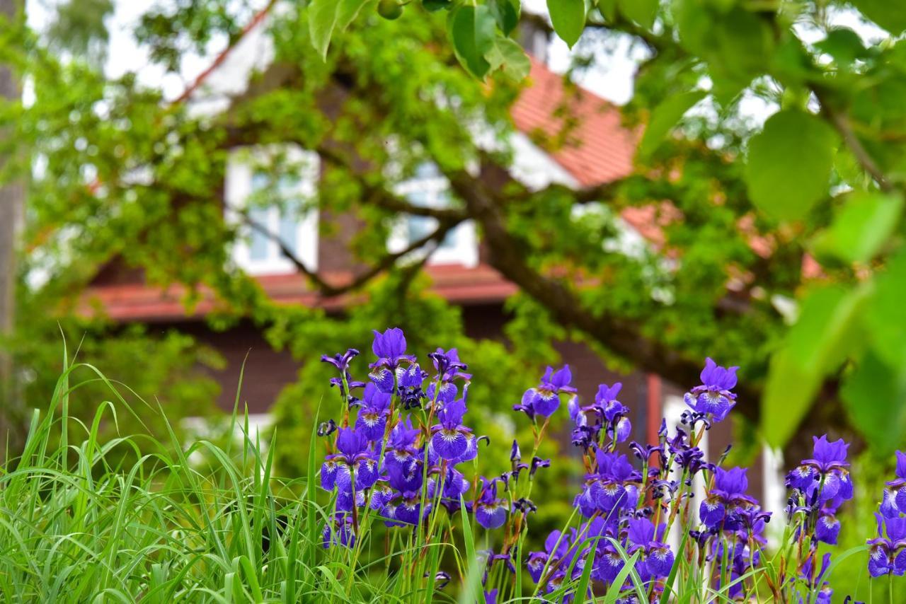 Sunny Beaver B&B Trakai Eksteriør billede