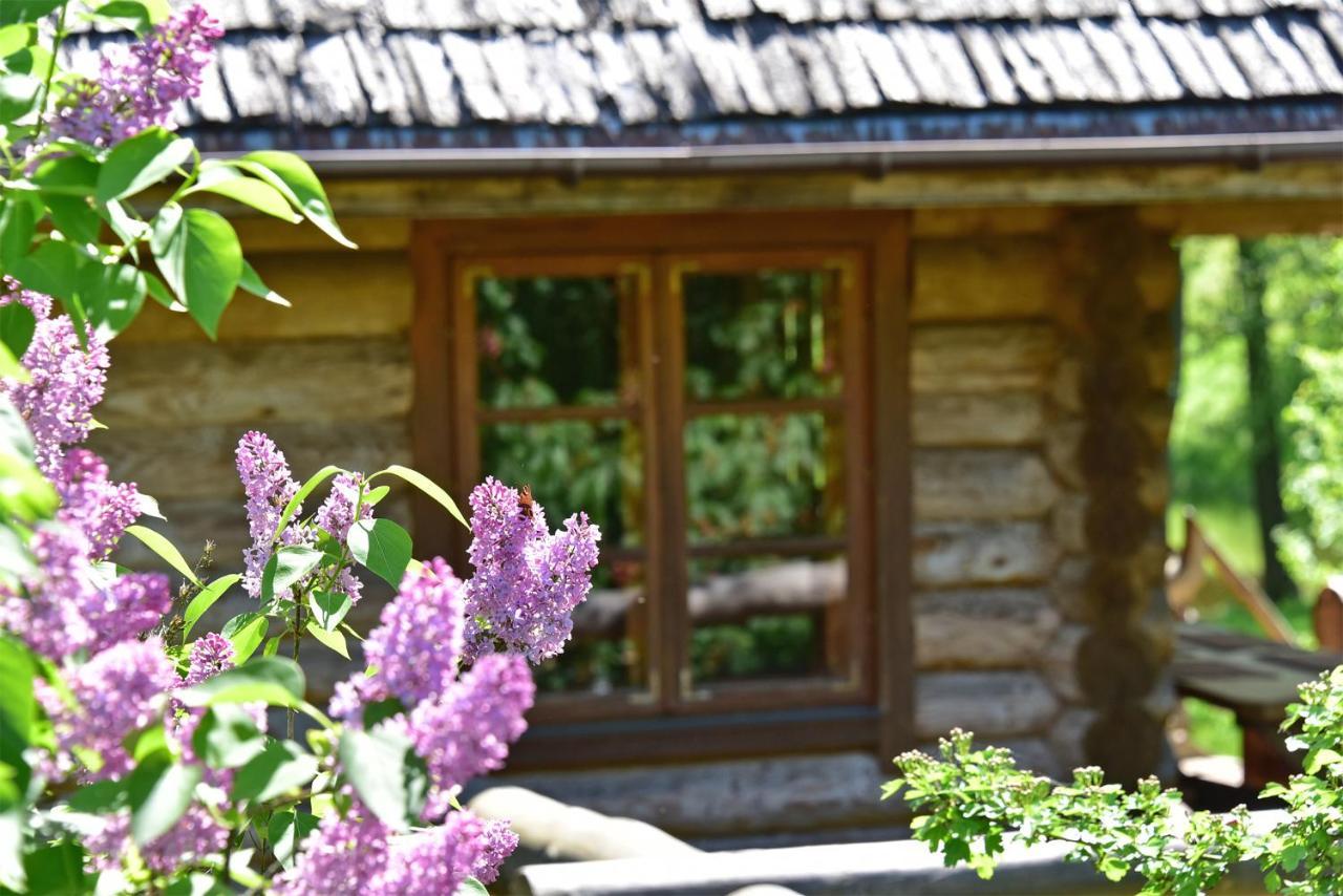 Sunny Beaver B&B Trakai Eksteriør billede