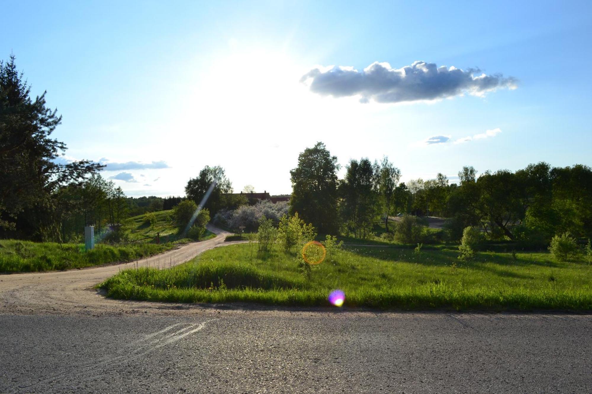 Sunny Beaver B&B Trakai Værelse billede